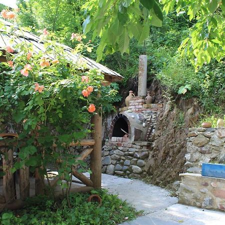 Hotel Nikala'S House Borjomi Esterno foto