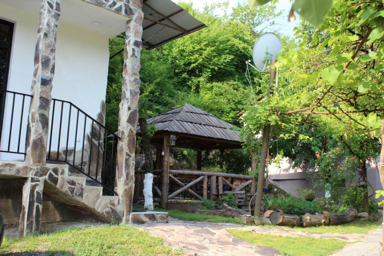 Hotel Nikala'S House Borjomi Esterno foto